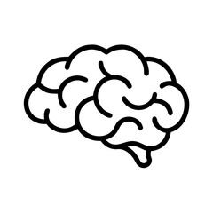 brain