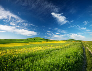 Obraz premium Generated image 5月の青空