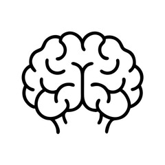 brain