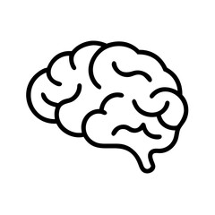 brain