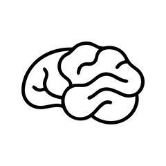 brain
