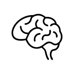 brain