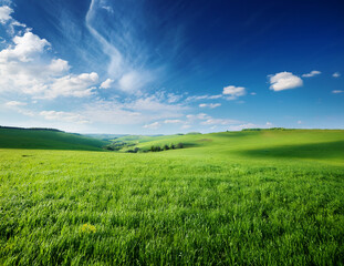 Obraz premium Generated image 5月の青空