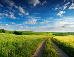 Obraz premium Generated image 5月の青空