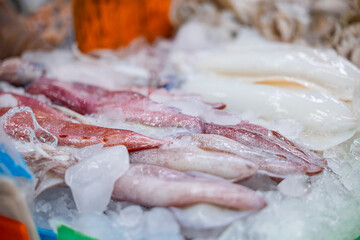 Fresh seafood display at bustling thailand fish market