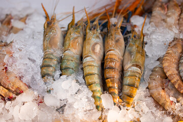 Fresh seafood display at bustling thailand fish market