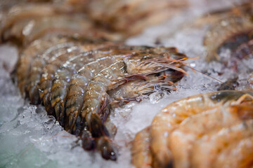 Fresh seafood display on ice at thailand fish market