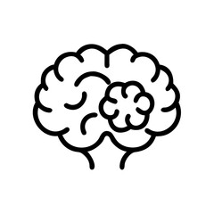 brain