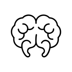 brain