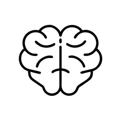 brain