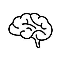 brain