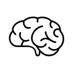 brain