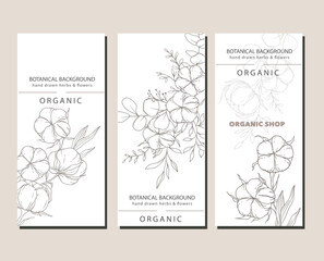 Cotton Plant Illustration. Cotton Branch Label Design. 100% Cotton, Pure Cotton Graphics. Hand Drawn Cotton Flowers  Line Art Illustration. Cotton Outline Trendy Minimalist Design
