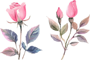 set of pink and green leaves