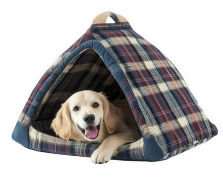Cozy dog house with happy dog inside, featuring soft, foldable design. Perfect for pets seeking comfort and security. Ideal for indoor or outdoor use