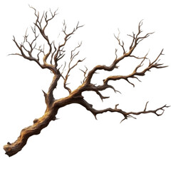 Branch of dead tree isolated on transparent background