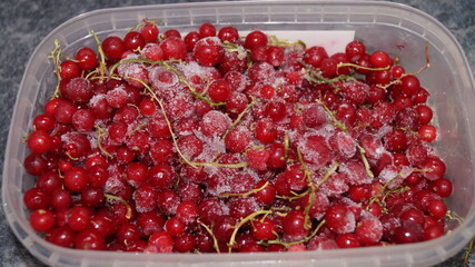 frozen organic berries