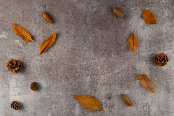 Autumn leaves with cones and acorns on a gray background. Flat lay, top view. Copy space