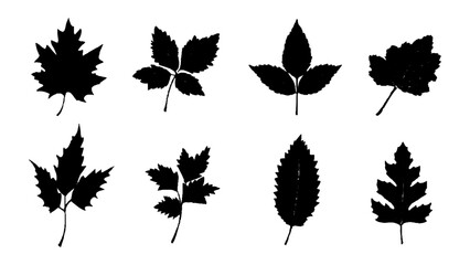 Black different tree leaves isolated on white background. Silhouette different types of leaves by vector design.
