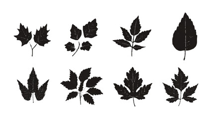 Black different tree leaves isolated on white background. Silhouette different types of leaves by vector design.