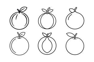 Chilean Guava – Ugni molinae fruit line art vector illustration