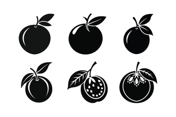 Chilean Guava – Ugni molinae fruit silhouette vector illustration