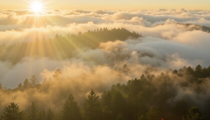 Naklejka premium Golden sunrise over misty forested mountains with clouds and sun rays.