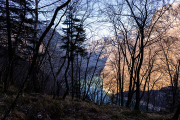 Natural Landscape: Trees with Sky in Background 