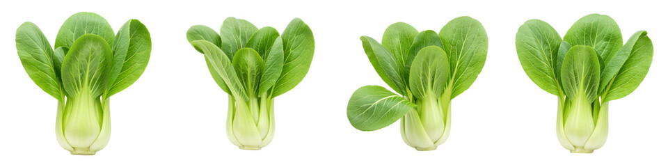 Bok Choy on White Background, Cut Out Set