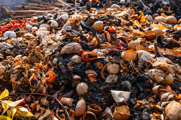 Compost heap with various food and organic waste close-up. Production of organic fertilizer for the garden, secondary use of resources