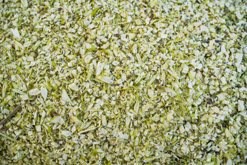 Chips after processing branches after pruning trees. Shallow sawdust after chopping branches