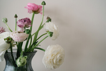 Bouquet of pink and white ranunculus flowers in a glass vase