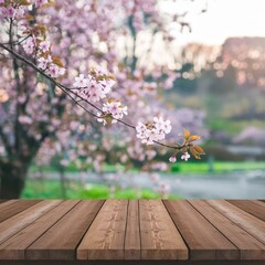 A mock-up for a product display in Sakura flower park features an empty wooden table with a garden bokeh background and a spring blossom tree landscape.