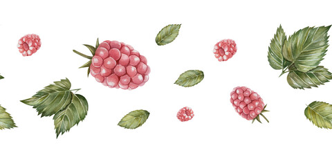 Seamless raspberry border with berries and green leaves. Hand drawn in watercolor. Botanical illustration, isolated on white background. For wedding invitations, design, scrapbooking, printing,kitchen
