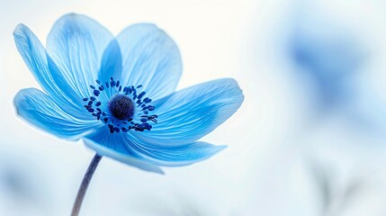 Obraz premium Surreal Blue and Purlpe Shades Flowers in Minimalist Composition, Evoking Tranquility and Natural Elegance