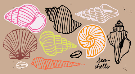 Various Seashells set. Different shapes. Outline modern sticker style. Summer, vacation, ocean, beach concept. Hand drawn trendy Vector illustration. Isolated design elements