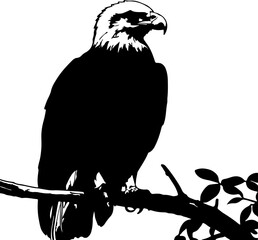 eagle on a branch