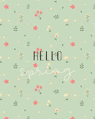 hello spring postcard
