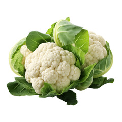 Set Cauliflower vegetable crop white fruit green leaves healthy dietary healthy vitamin food object isolated on a transparent background png