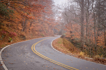 Fototapeta premium Winding Road through misty autumn forest