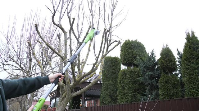 Gardener pruning trees with telescopic electric pruner saw in residential garden