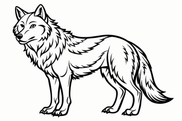 coloring page line art the wolf vector