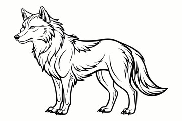 coloring page line art the wolf vector