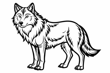 coloring page line art the wolf vector