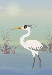 Vector birds. A heron stands on a foggy swamp. Animals collection.