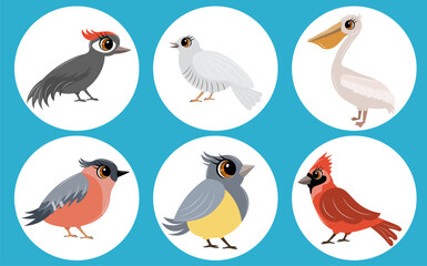 Set of vector birds. Woodpecker, cuckoo, pelican, cardinal and tit. Animals collection.