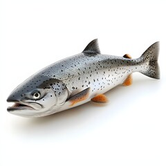 Obraz premium High-quality 3D model of a salmon fish. Perfect for culinary or wildlife projects. Stunning Salmon Fish