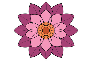 lotus flower isolated on white background