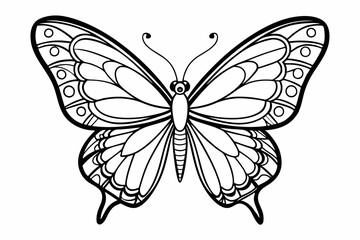 coloring page line art the butterfly black vector