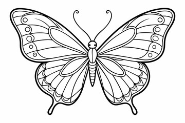coloring page line art the butterfly black vector